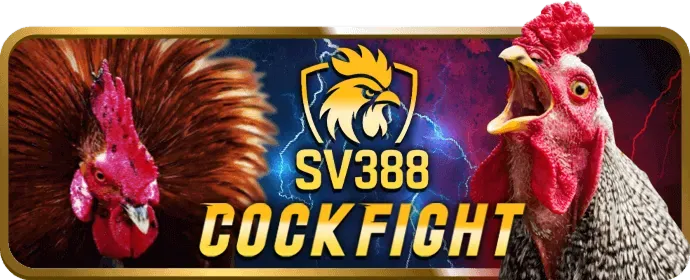 Ưu đãi sòng bạc trực tuyến bongvip2